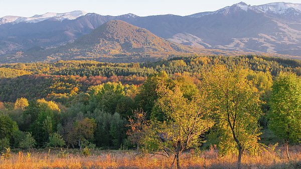JMBTravelBG's tweet photo. New artwork for sale! - "First snow" - https://t.co/MYF5J6A3Xv @fineartamerica https://t.co/17C6Y8mRkf https://t.co/RKr9chbz0U