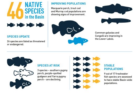 MRLandscapeSA's tweet photo. Visit the @MD_Basin_Auth  website for a basin health update and for great tools like  this native fish snapshot! https://t.co/JmqGOsosmy https://t.co/0VZ5VCTRTY