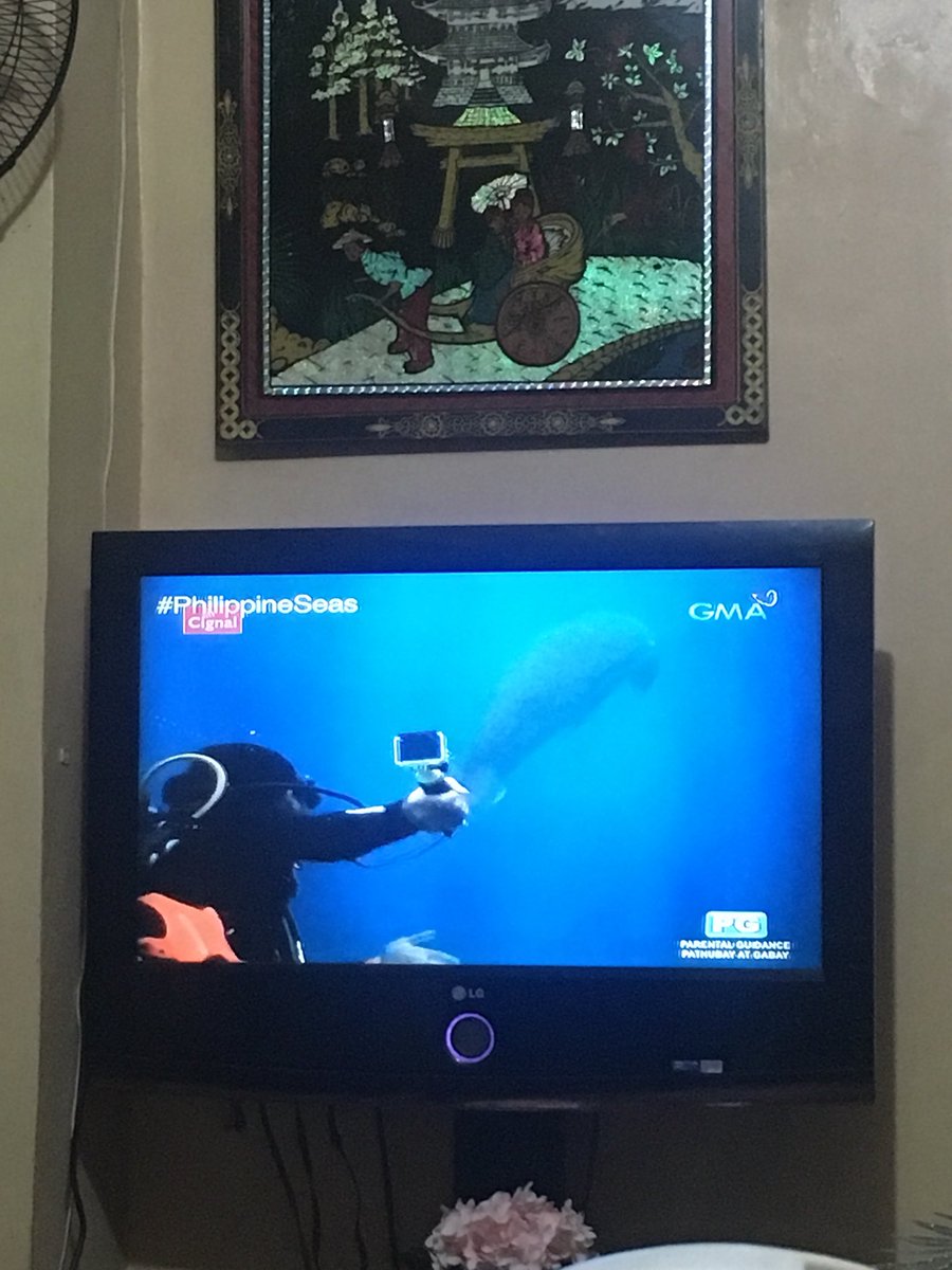 kotkot5's tweet photo. Gandaaaa #PhilippineSeas @atomaraullo https://t.co/0qs5j1c4IZ