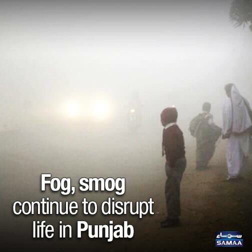 MehakayubKhan1's tweet photo. Kill it before it kills You  #SaveUsFromSmog https://t.co/F8e79HgziD