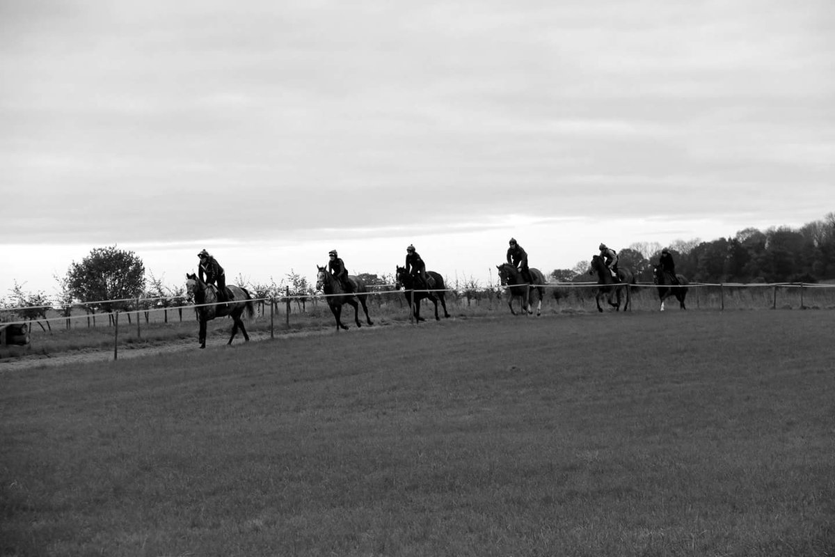 G&T Racing tweet media