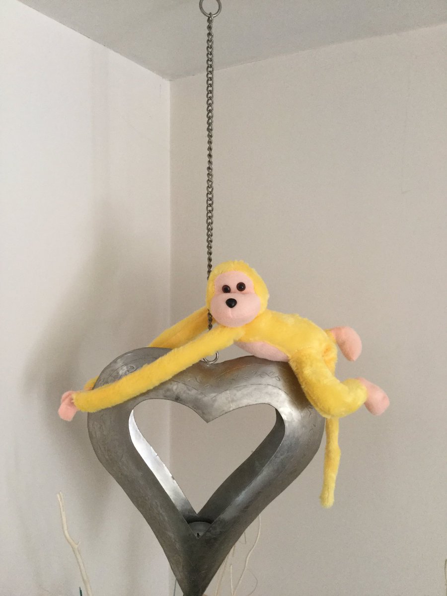 LouMcclintock's tweet photo. I'll have more monkeys and books available at this event #passthemonkey @Somladiesinbiz @IntrotweetUK @Devon_Business_ @GeniusSomerset https://t.co/HNGPq6JGEz