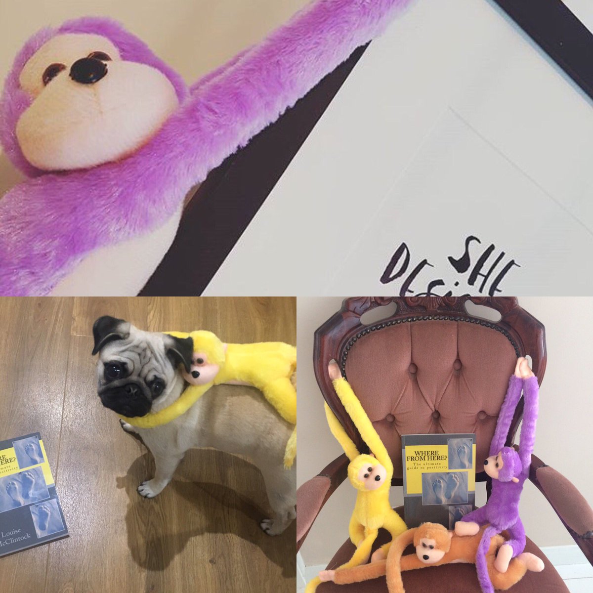 LouMcclintock's tweet photo. I'll have more monkeys and books available at this event #passthemonkey @Somladiesinbiz @IntrotweetUK @Devon_Business_ @GeniusSomerset https://t.co/HNGPq6JGEz