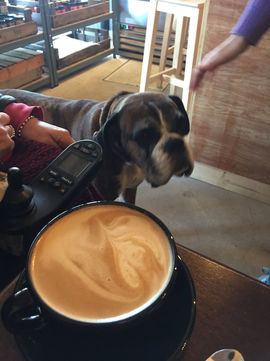 k9sheffield's tweet photo. Enjoying Sunday brunch at cawa in Broomhill #sheffieldissuper #Sheffield https://t.co/VDEAS7m6py