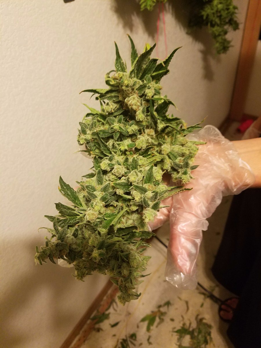 bouldermmj's tweet photo. Tweet your pics! to @bouldermmj with: #coloradokind
https://t.co/aTRTbEUerG
https://t.co/KBQyfp7Wim https://t.co/9vG4GL4k8T