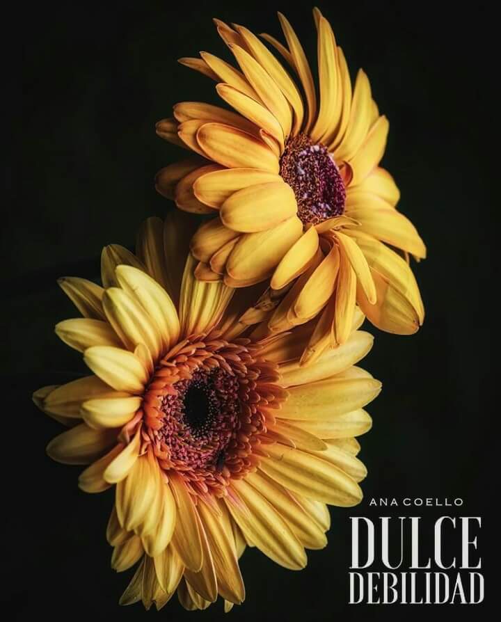 MarieCoema's tweet photo. Quiero luchar a tu lado, no que tú luches por mí, no quiero ser una carga, quiero ser tu apoyo, ir juntos de la mano #Wattpad #EnEdicion https://t.co/T0Xqu79l0y