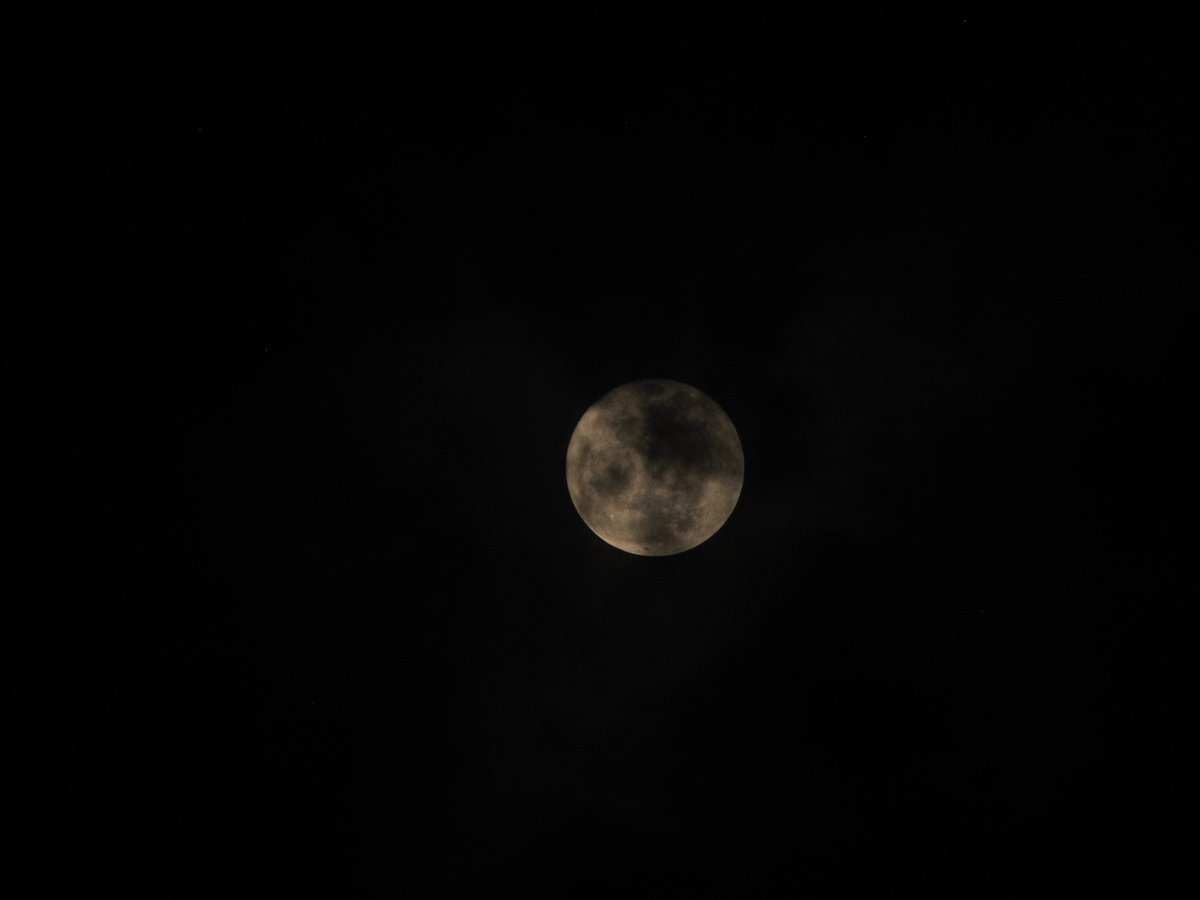 jkimfolder's tweet photo. พระจันทร์เมื่อคืนออกจะขี้อายหน่อยๆ 🌜 https://t.co/DFgURtSSYY