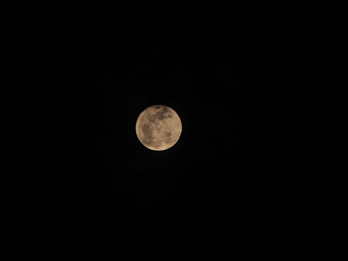 jkimfolder's tweet photo. พระจันทร์เมื่อคืนออกจะขี้อายหน่อยๆ 🌜 https://t.co/DFgURtSSYY