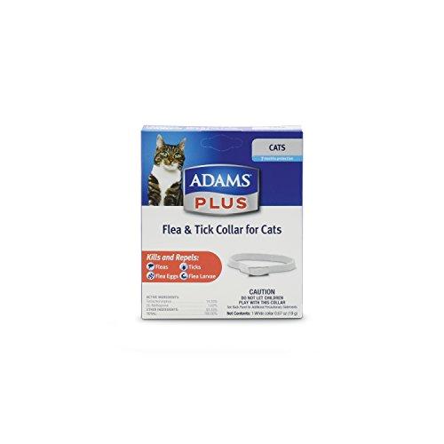 lovecat247's tweet photo. Adams Plus Flea and Tick C...
See here=> https://t.co/MXPUTt54cL
#cats #catFleaCollars #catsupplies #catlover #DaylightSavingsTime https://t.co/g2QLIKmdGB
