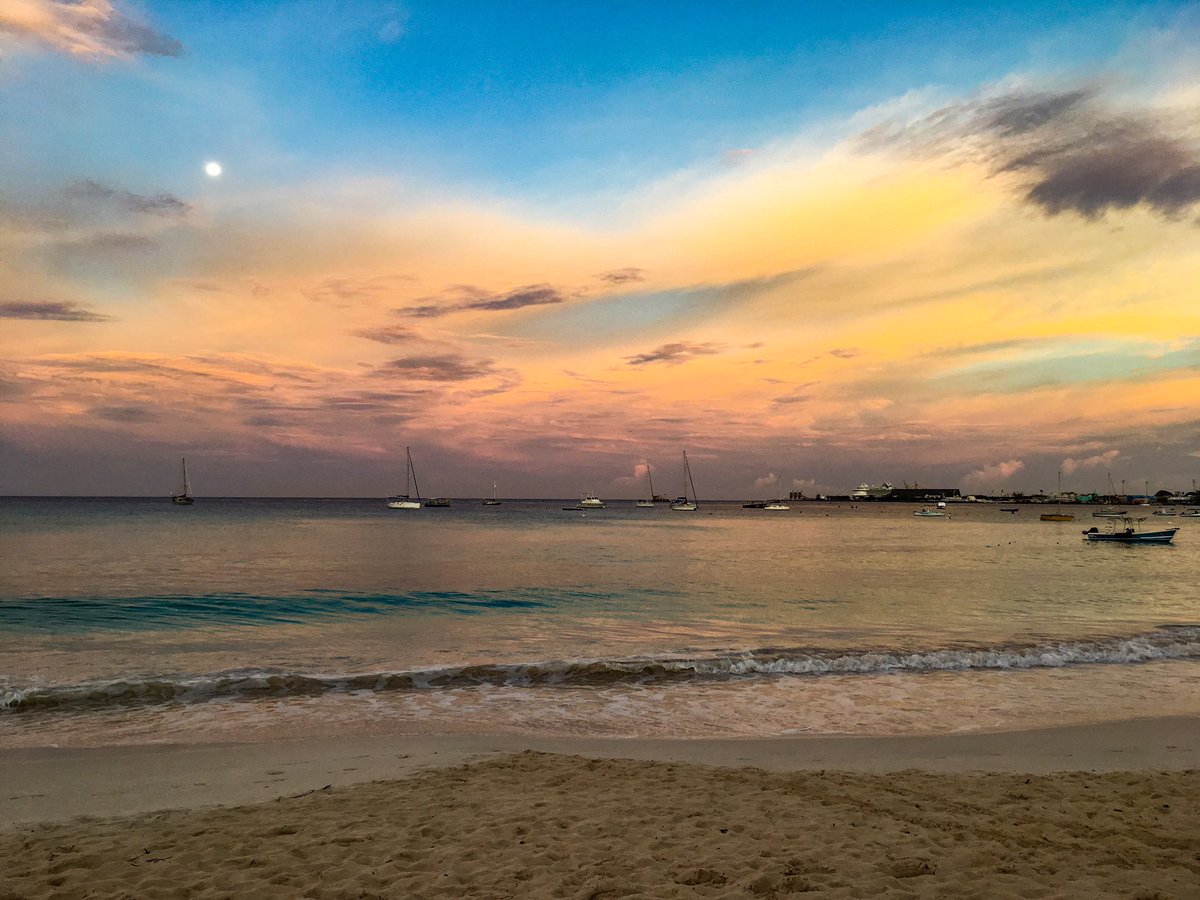 EmbraceOWSwim's tweet photo. Good morning! https://t.co/driYVyojJJ