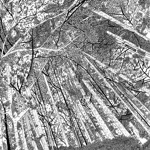SoundsOfToma's tweet photo. Appleblim - Sacred Rowan Grove [Life And Death]   
#appleblim #sacredrowangrove #electronica #downtempo
Listen it : https://t.co/2AijdcnlVq https://t.co/VxYA03t1Uk