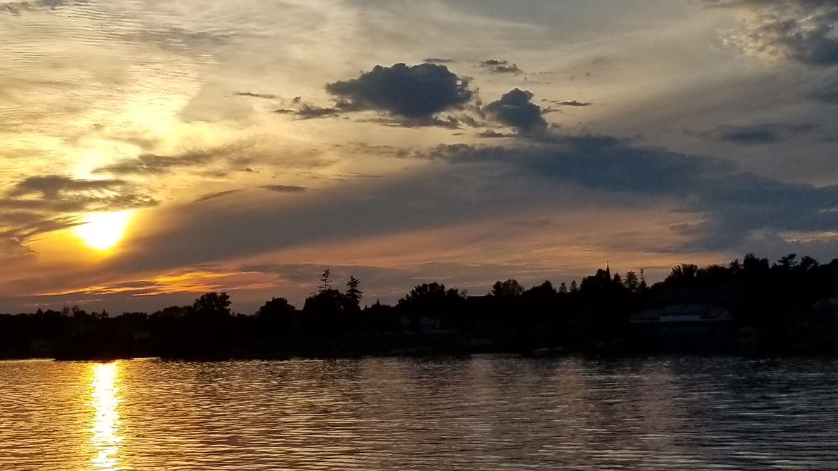 RoarLoud tweet media