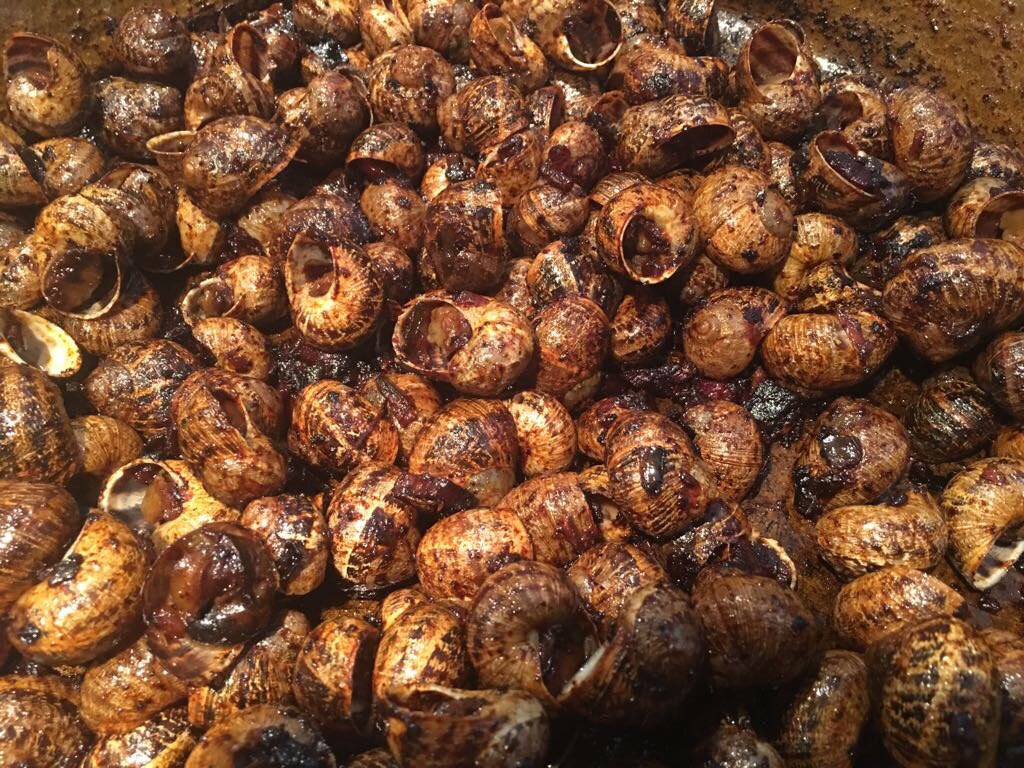 agapbcn's tweet image. 