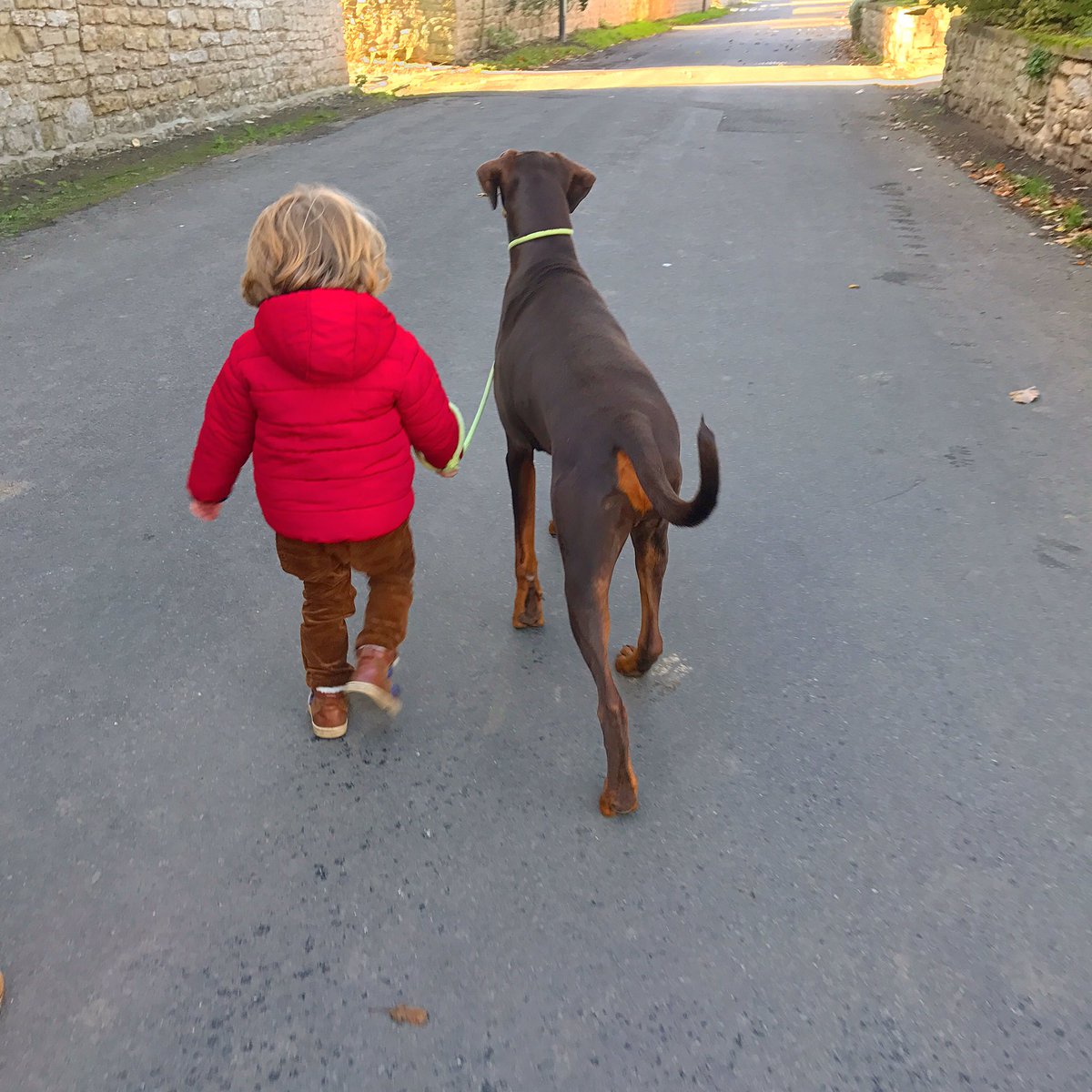 t2tyh's tweet photo. #sunday #strolls #judedennis #seth https://t.co/v6mPl2x9y1