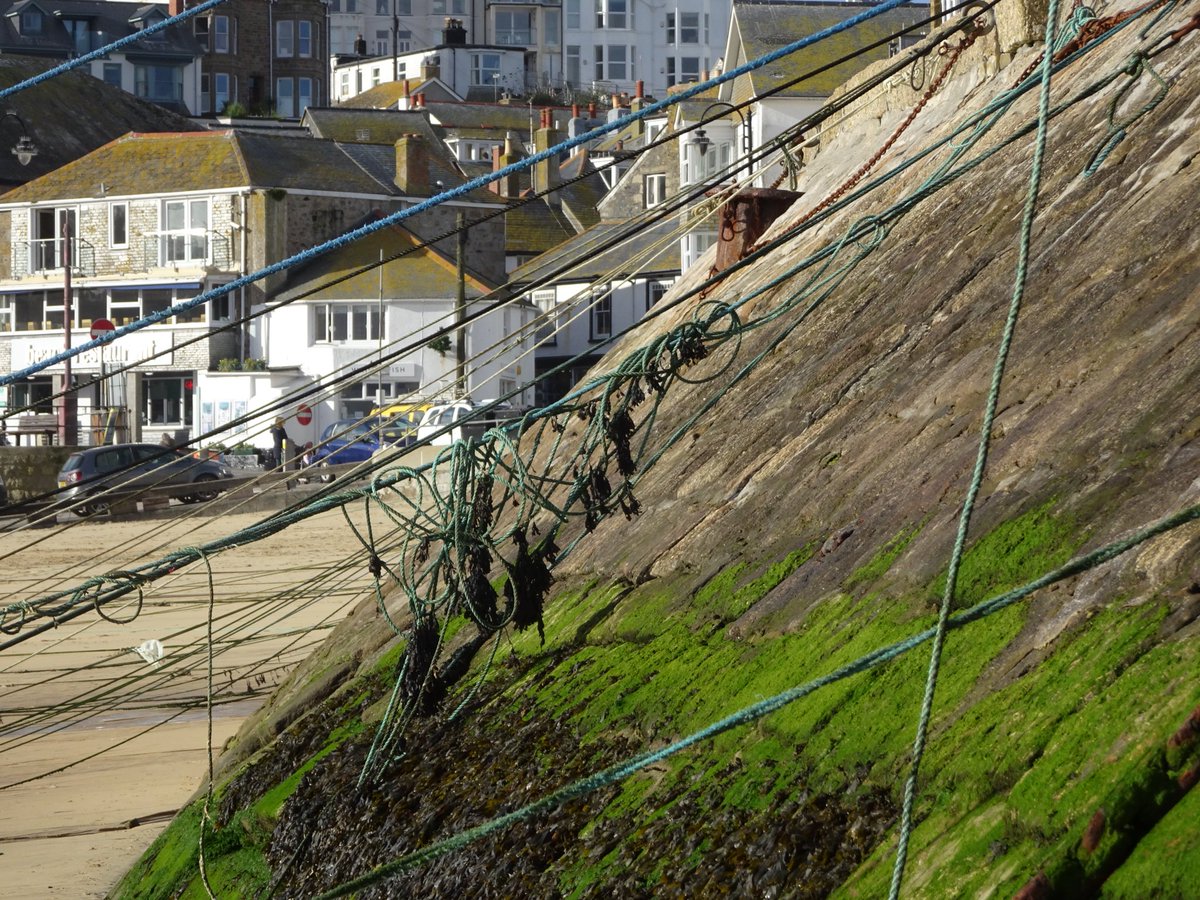 Shells, ropes and boats @beauty_cornwall