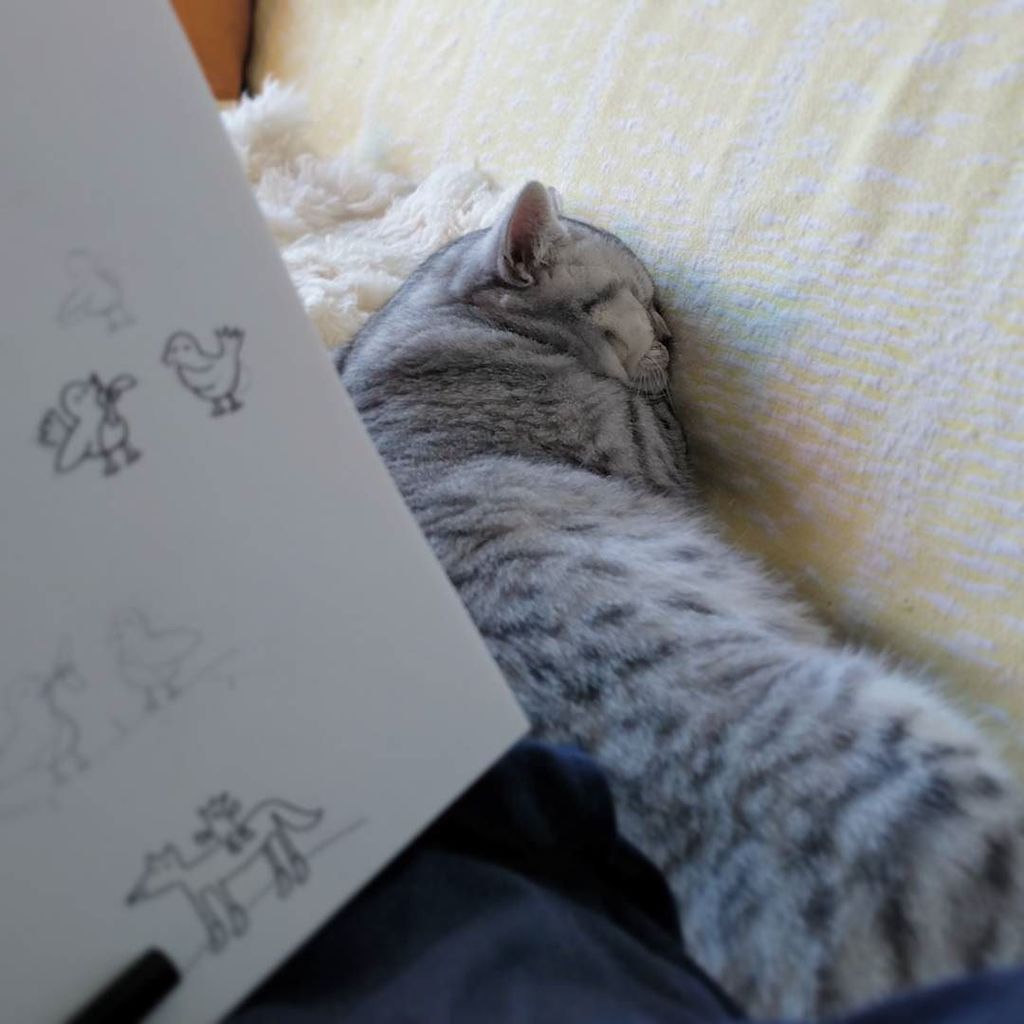 squigglers's tweet photo. Teeny tiny ⭐🎄CHRISTMAS🎄⭐ sneak preview.. Mainly cat.

#illustration
#squigglers
#christmasbysquigglers 
#comingsoo… https://t.co/EFiUPE4XPY https://t.co/NAZlIx9xiK