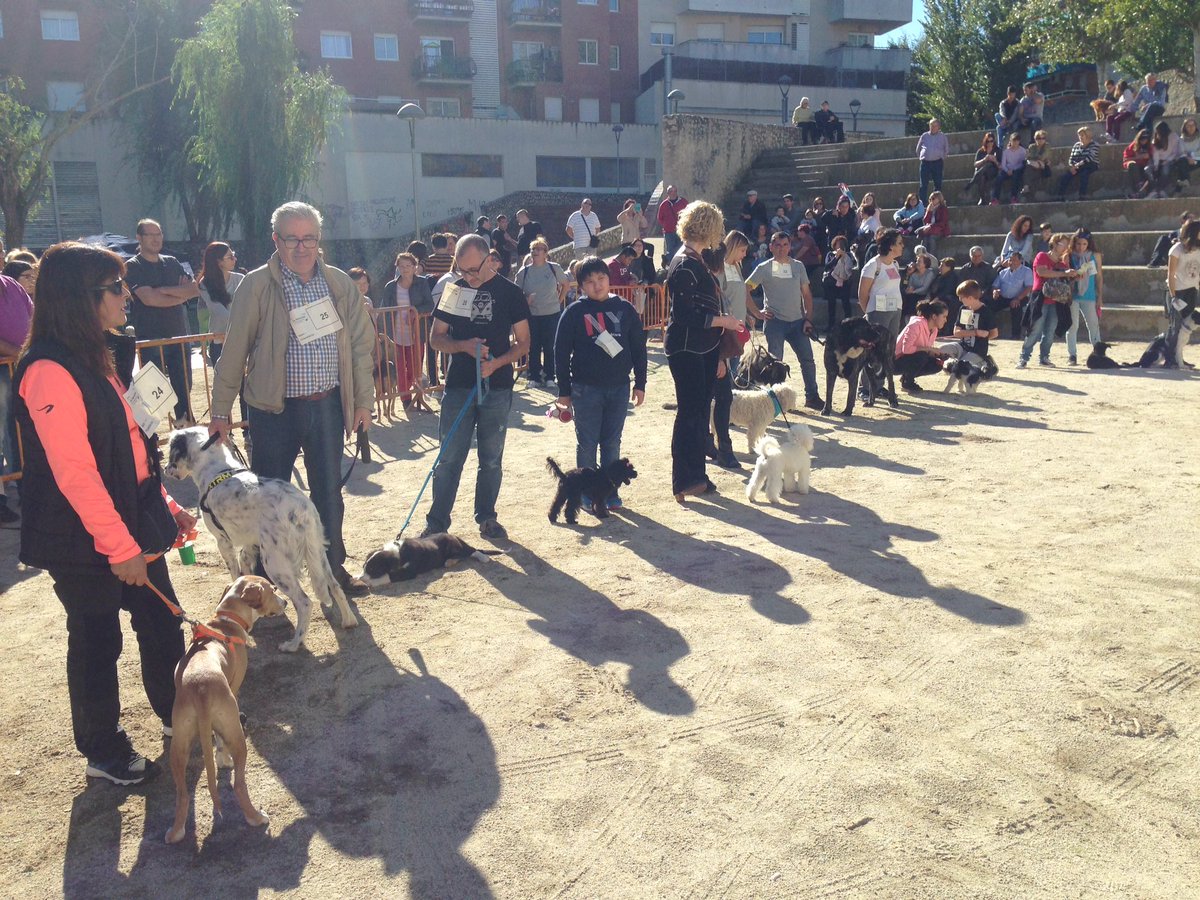 santsadurni_cat's tweet photo. 6a Festa del Gos #santsadurni al Parc de la Rambla amb récord de participació #penedes #bupbup https://t.co/ZHxb8CKRjW