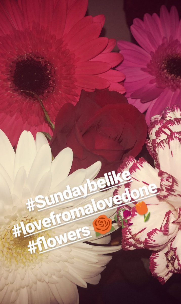 Cindy_Ambal's tweet photo. Loved being surprised! 😍🌷🌹
#mypart #flowerslovers https://t.co/7aSRbugFq7