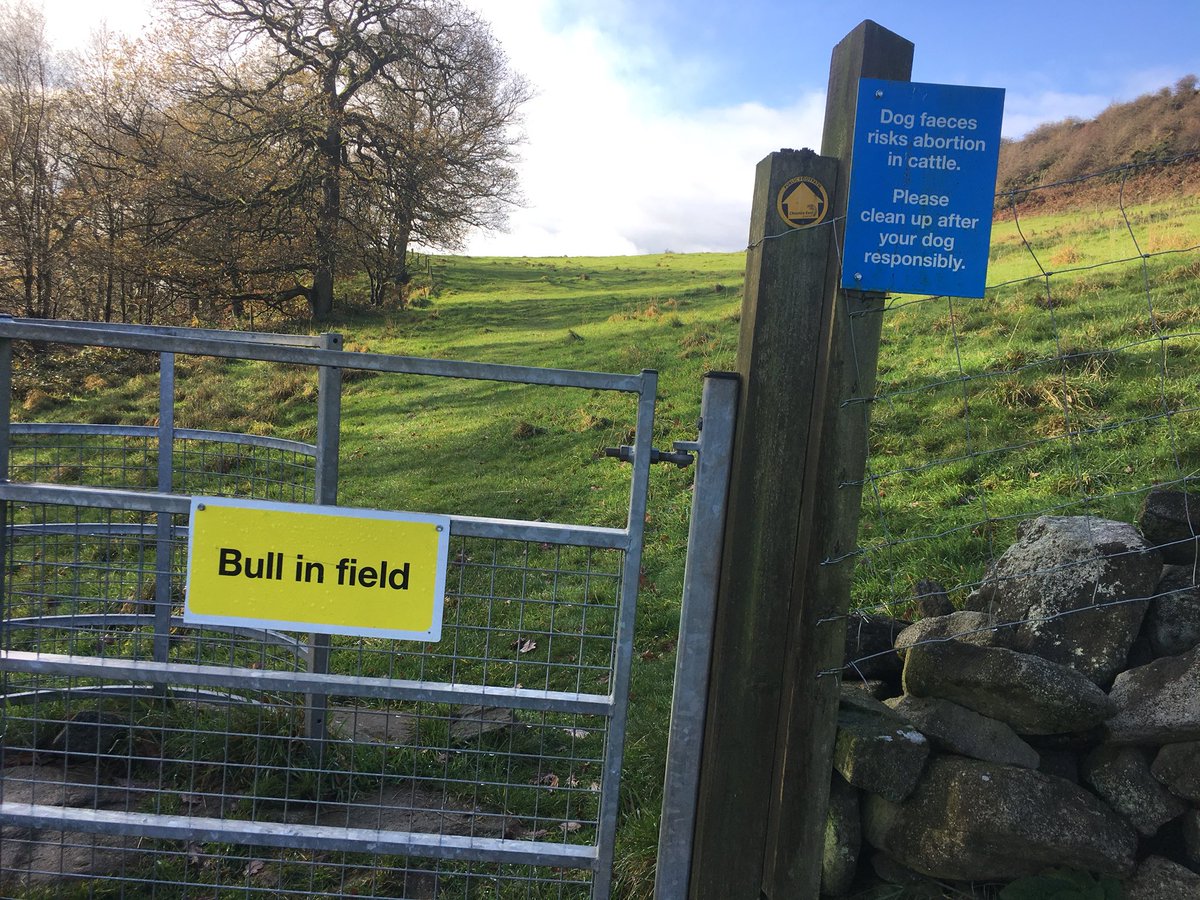 TonyMcMurray's tweet photo. Some great views in the hills today... and some challenges...
#2018training https://t.co/qUgDp8SbxO