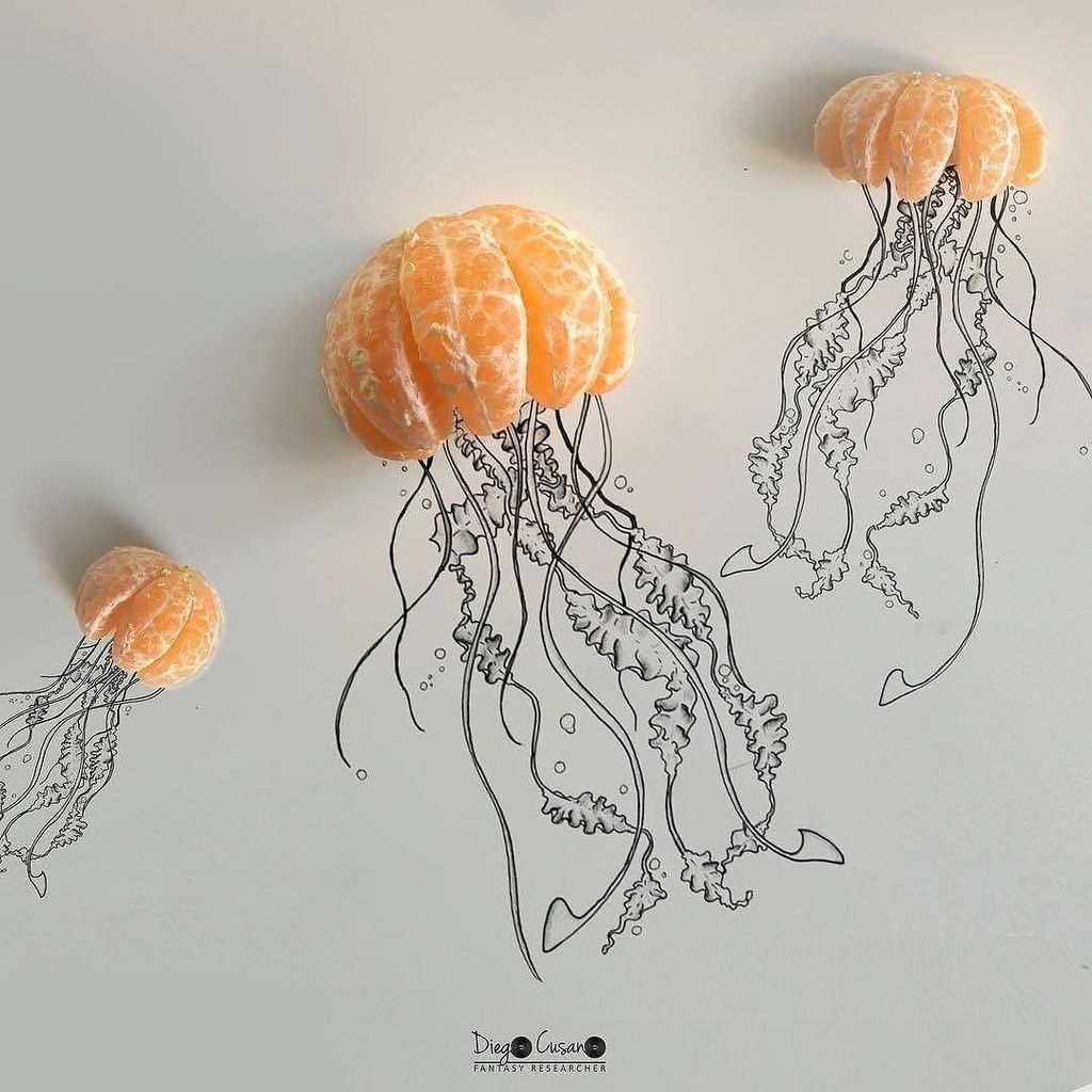 fubiz's tweet image. Fruit Art by @diego_cusano #food #creativefood #fubizfood #fubiz #mandarine #draws #fruit … bit.ly/2lTmwhT bit.ly/2ydq58N