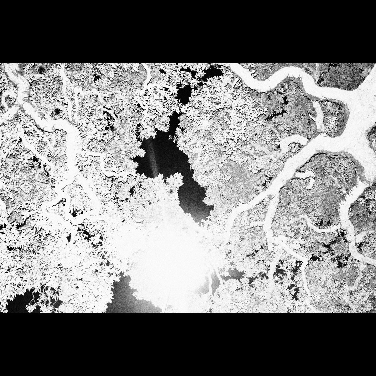 FabioMRoque's tweet photo. Finally my "Origin" project is ready...
Instead of one book, this project will be a triology, and will be presented at the end of this month https://t.co/xwfMSdoD89
