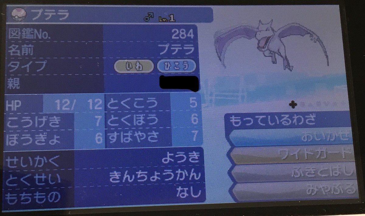 プテラ ポケモン総合 130zoku Twitter