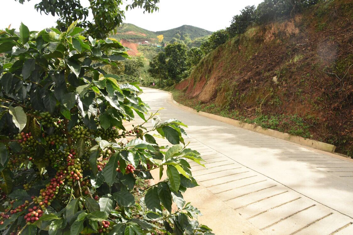 Luis_Perez_G's tweet photo. Las vías campesinas dinamizan la economía de los territorios. En Antioquia estamos dignificando al campesino. #PiensaEnGrande ¡Feliz día! https://t.co/cFxoDWmuHP