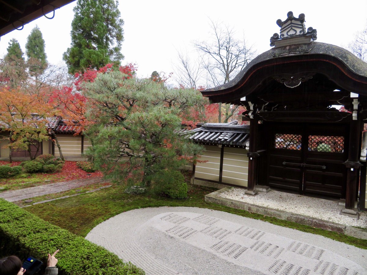 MARIfromJP4's tweet photo. #Kyoto is famous for beautiful #autumnleaves . Yes! Let's go to Kyoto♪#beautifulkyoto #kiyomizutemple #tofukuji #eikando #kodaiji #단풍 https://t.co/AZRI99M3kQ