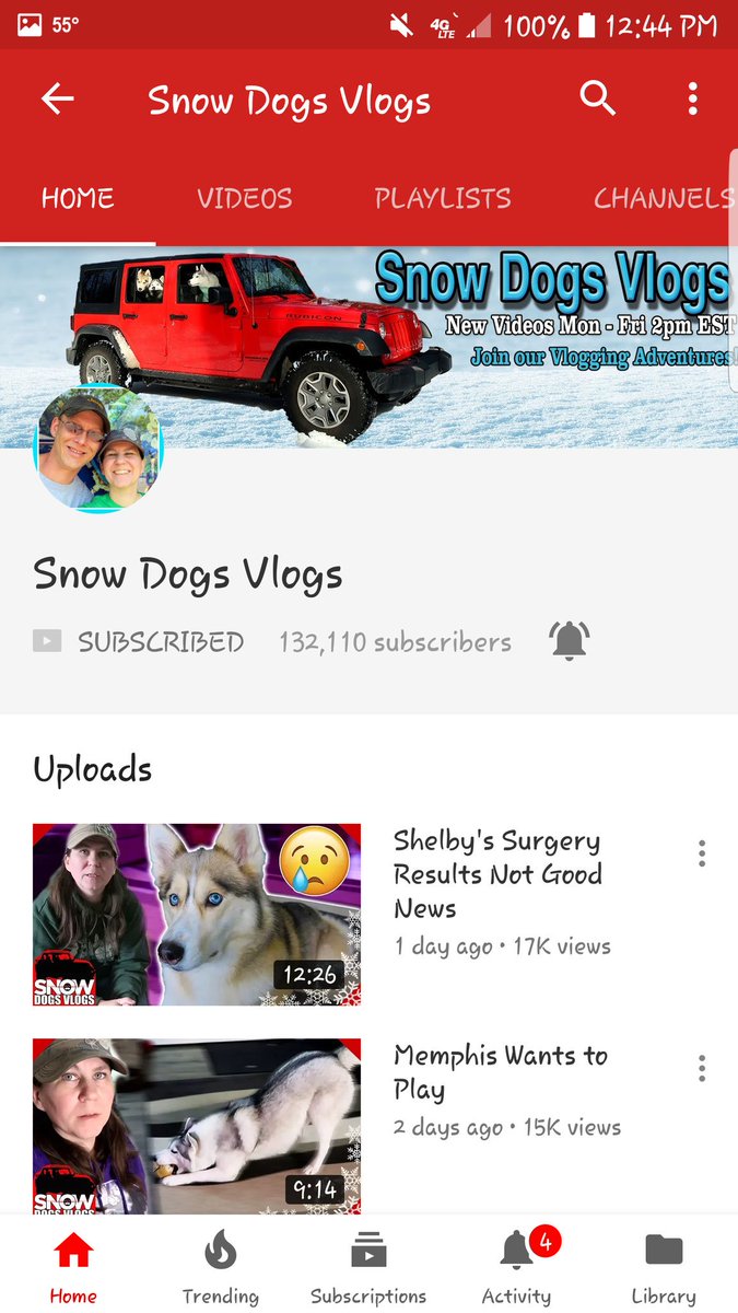 CULTUREBOYGEOR1's tweet photo. Please subscribe to @Gone2theSnowDog and @SnowDogsVlogs on YouTube they really support! Tag and Share this plz 😔🙏💪💜

https://t.co/pG5zhv0vcO https://t.co/ilOy4kUwZe