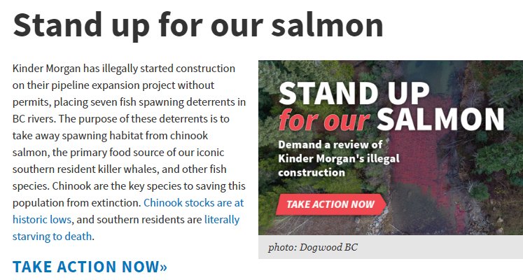 OrcaSOS's tweet photo. #Endangered #Blackfish are starving! #Chinook #Salmon are at historic lows &amp; #KinderMorgan is taking away their spawning ground. 
Act now to stand up for our #WildSalmon!
Sign v @GeorgiaStraitBC ⏬
https://t.co/8OFngQeSMZ 
#bcpoli #cdnpoli https://t.co/e6RUWWDTYw