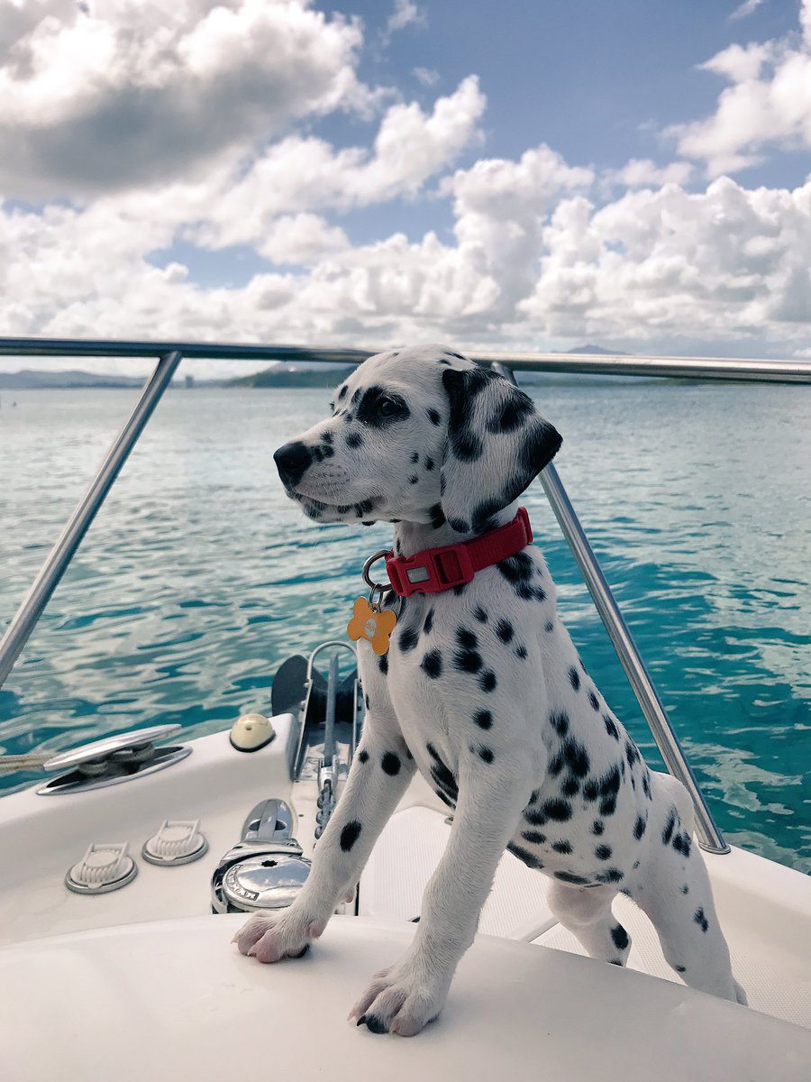 First boat day⚓️