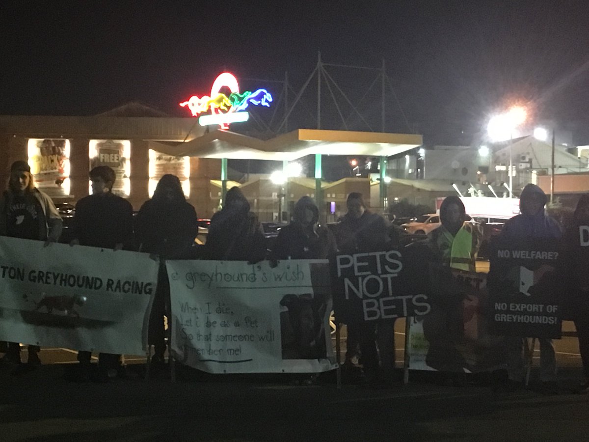 BlueLineSheff's tweet image. .@SOGR24606384 protesting against greyhound cruelty at #BonfireNight @OwlertonStadium