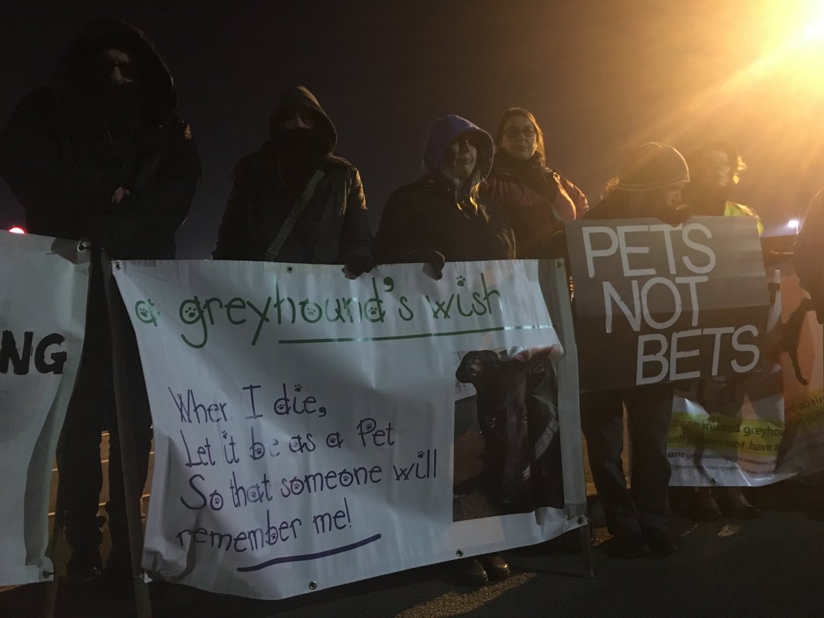 BlueLineSheff's tweet image. .@SOGR24606384 protesting against greyhound cruelty at #BonfireNight @OwlertonStadium
