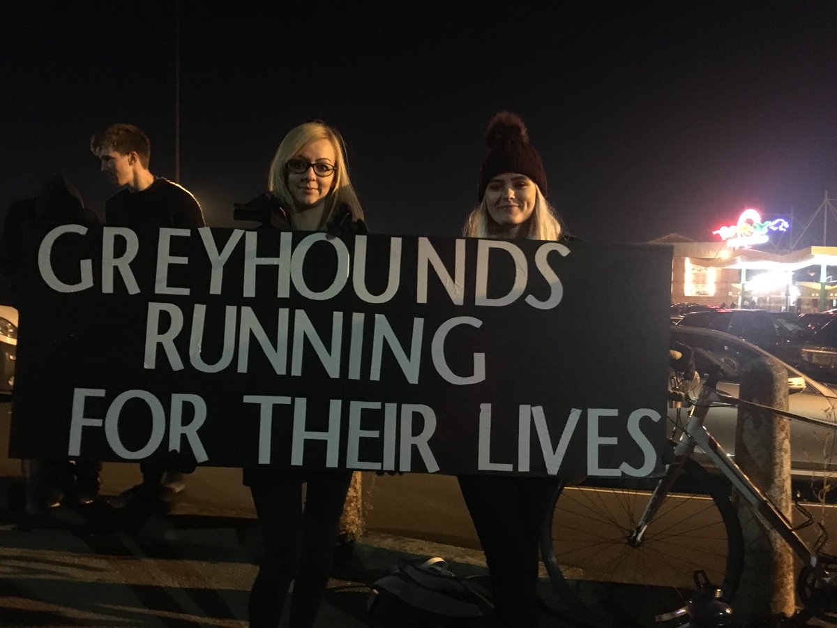 BlueLineSheff's tweet image. .@SOGR24606384 protesting against greyhound cruelty at #BonfireNight @OwlertonStadium