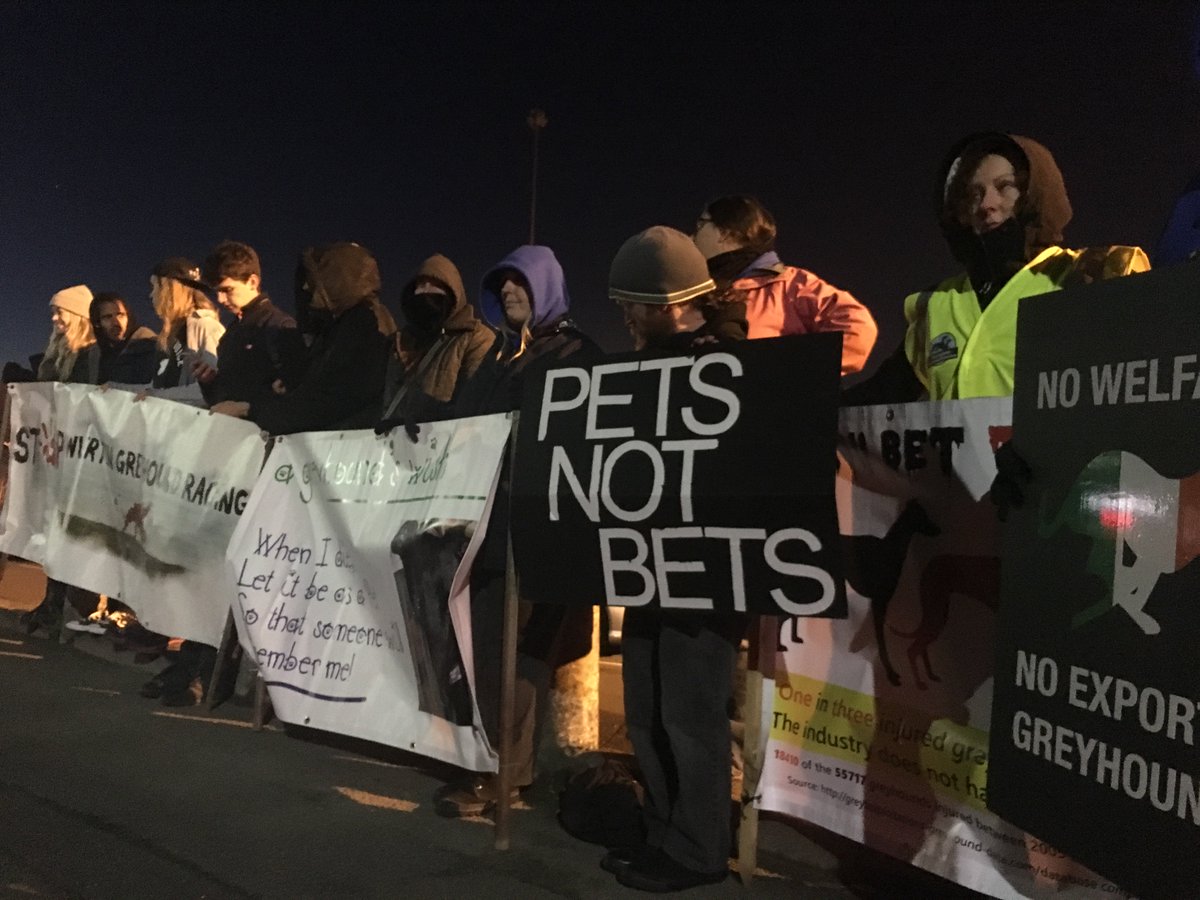 BlueLineSheff's tweet image. .@SOGR24606384 protesting against greyhound cruelty at #BonfireNight @OwlertonStadium