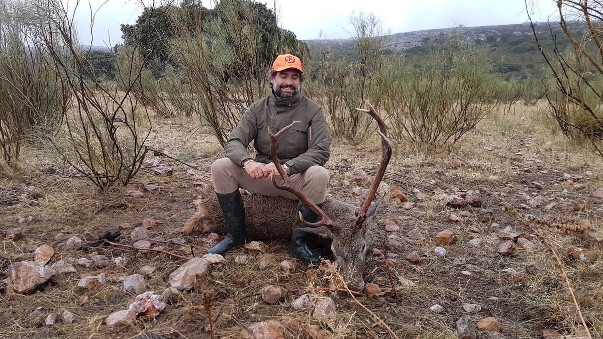 Buena montería ayer en Monfragüe. Y por fin llega la lluvia