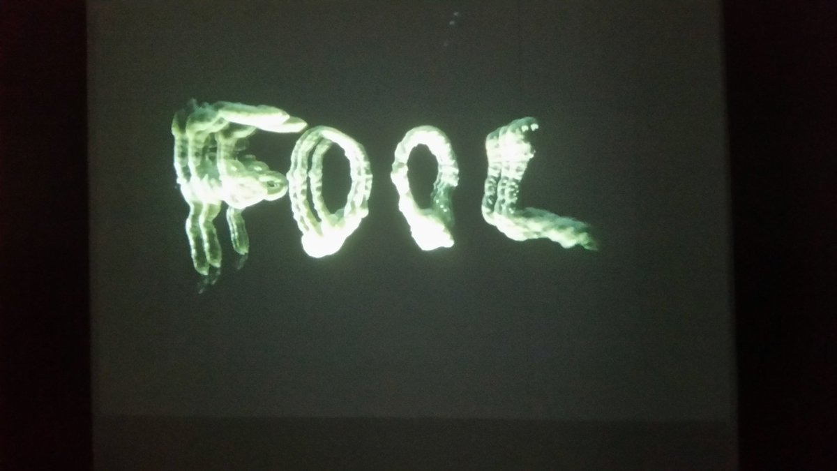 Last day <a href="/CollateralDraw/">COLLATERAL DRAWING</a> <a href="/strangecargoart/">Strange Cargo</a> great to see animation by Andrew &amp; Eden Kötting &amp; RA Sam Austen film