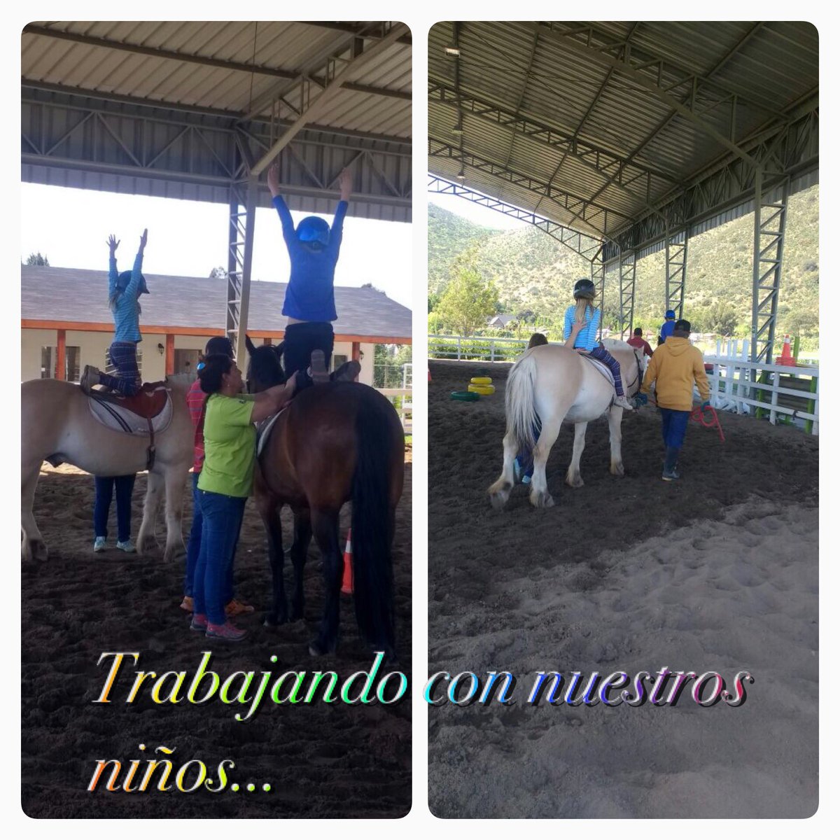 La magia de la equinoterapia 🌈