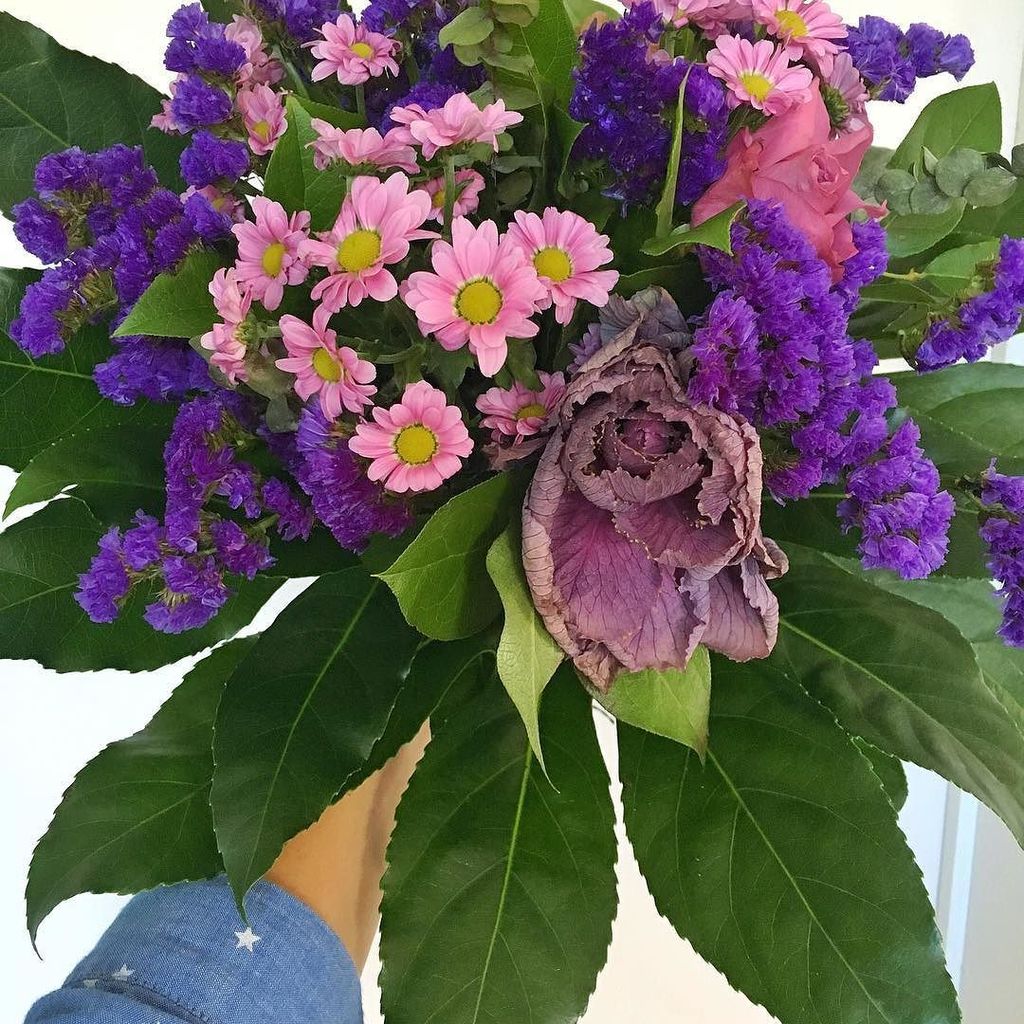 susanapchaves's tweet photo. Worn flowers, leftover food and next day hair... Love the perfection of the imperfect more each day. 🍁✨👌🏻#perfecti… https://t.co/K45Nc0iiId https://t.co/qK2zn6tUTh