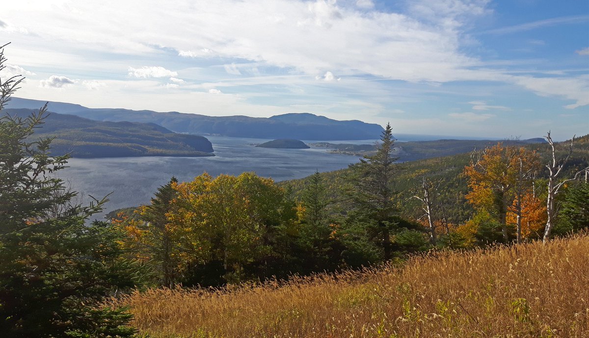 GrosMorneOutdor's tweet photo. Loving the fall colors in #GrosMorne national park! #BigHill is always one of favorite #Hikes #explorenl #Newfoundland https://t.co/pChGTGWkw0