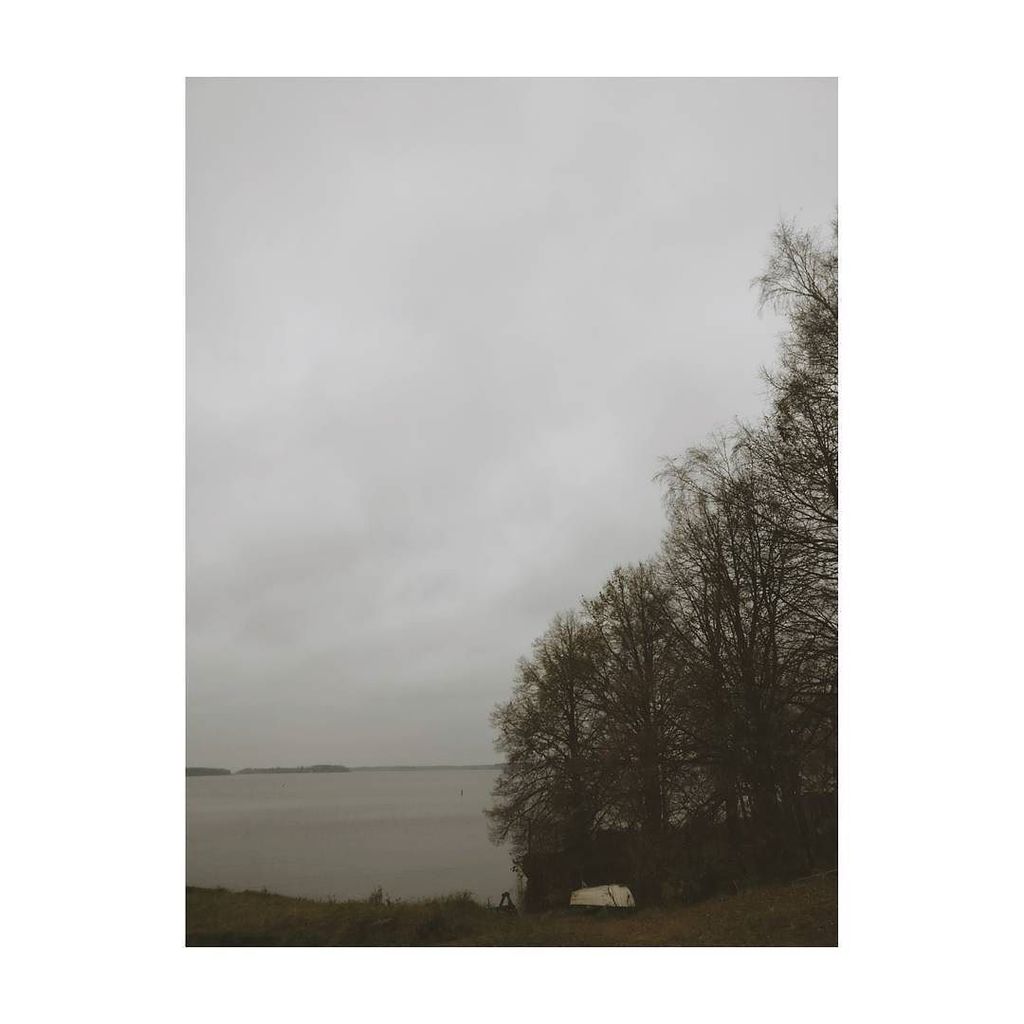 Loytoblogi's tweet photo. Grey sunday.
.
.
.
#naturelover #natureshot #nature_seekers #naturegoodness #naturephotography #nature #finland_ph… https://t.co/KBrIeerTTO https://t.co/WZKU4mBxpt