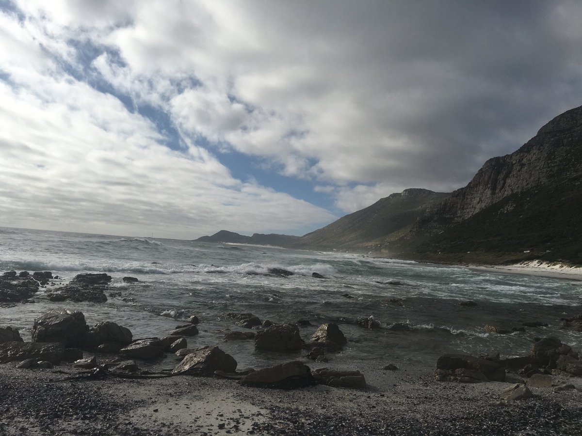 CapeTown Partnership tweet media