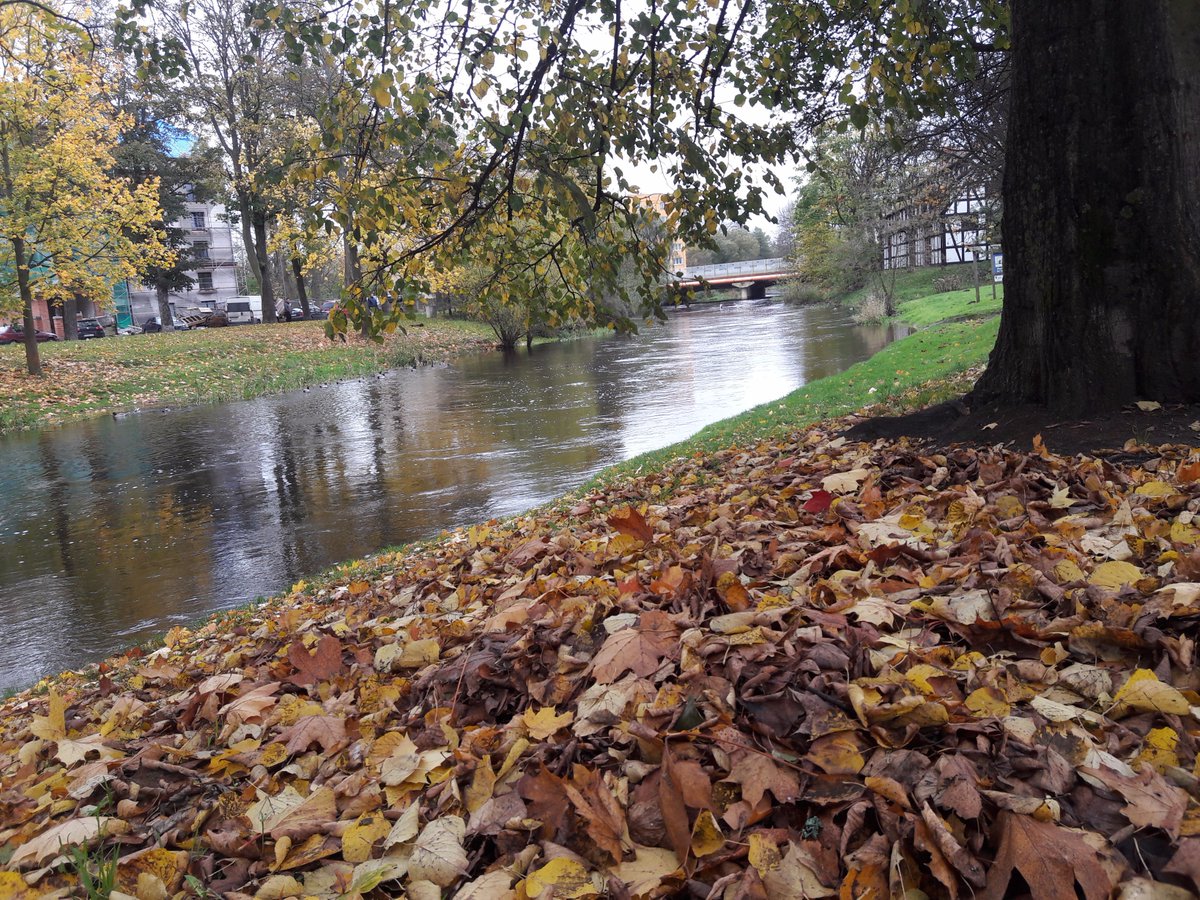 ILTERG_KA2's tweet photo. ILTERG Members in Slupsk (Poland) https://t.co/B7TbtYB1sb