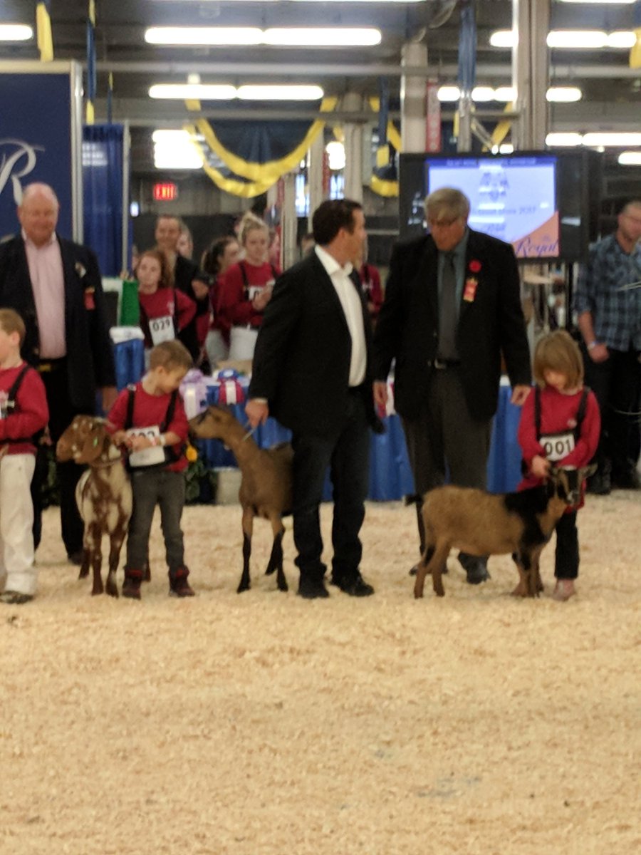 sheepfarmbecca's tweet photo. Never know who you will see showing goats @RAWFagriculture  @rickmercer https://t.co/lGeI7QtG0C