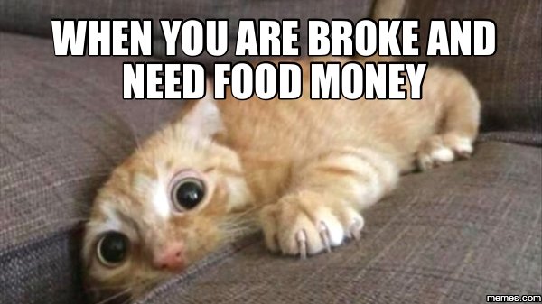 Em_rob4's tweet photo. This is me everyday! #couchmoneysaveslives #MCO435 https://t.co/c51AsVEWd4