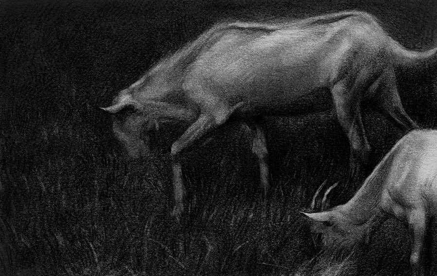 xijiuxijiu (@xijiu0720) on Twitter photo 