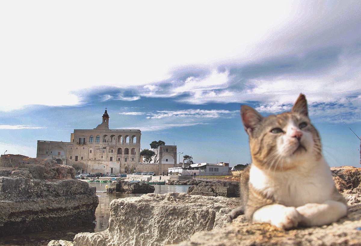 Una ordinaria #domenica in #puglia ! 
#weareinpuglia