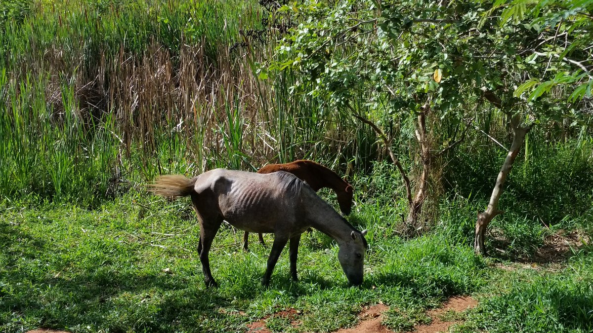 Jeane tim beta (@jeanelourdes18) on Twitter photo 