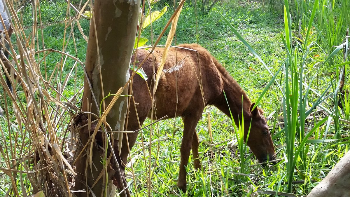 Jeane tim beta (@jeanelourdes18) on Twitter photo 