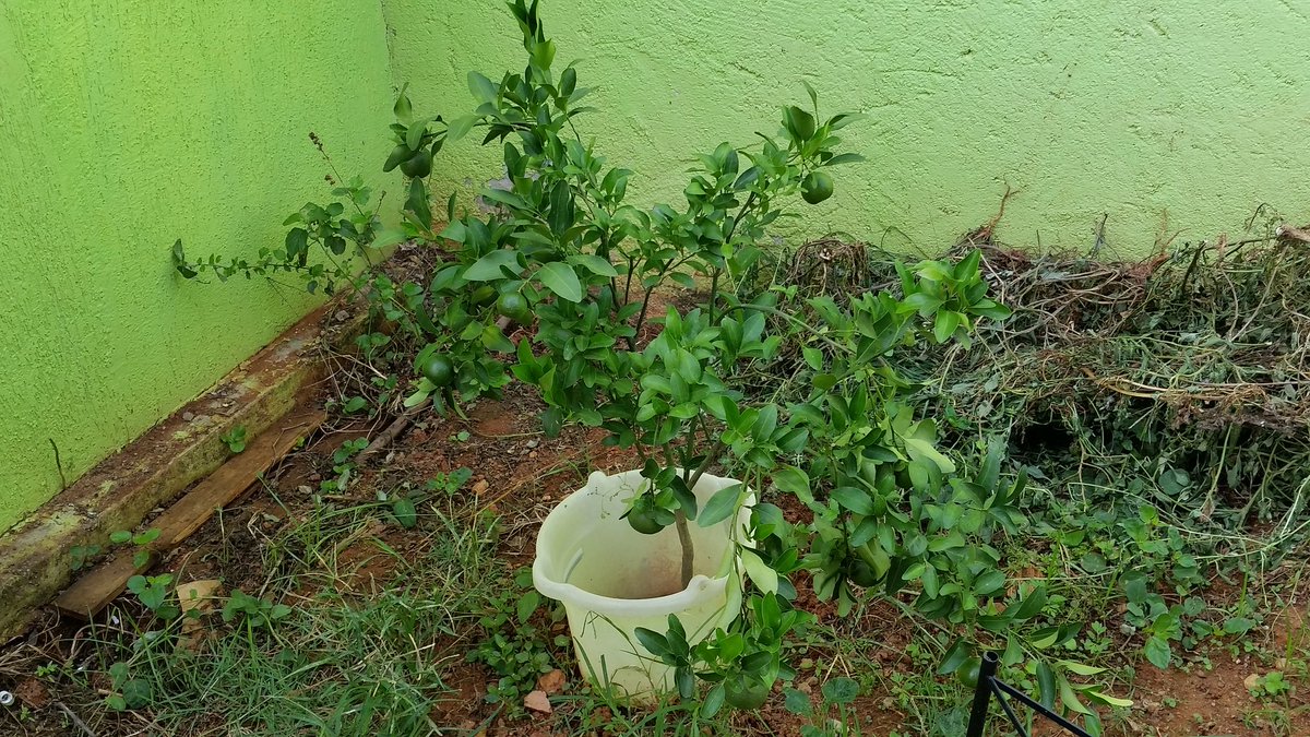 Jeane tim beta (@jeanelourdes18) on Twitter photo 